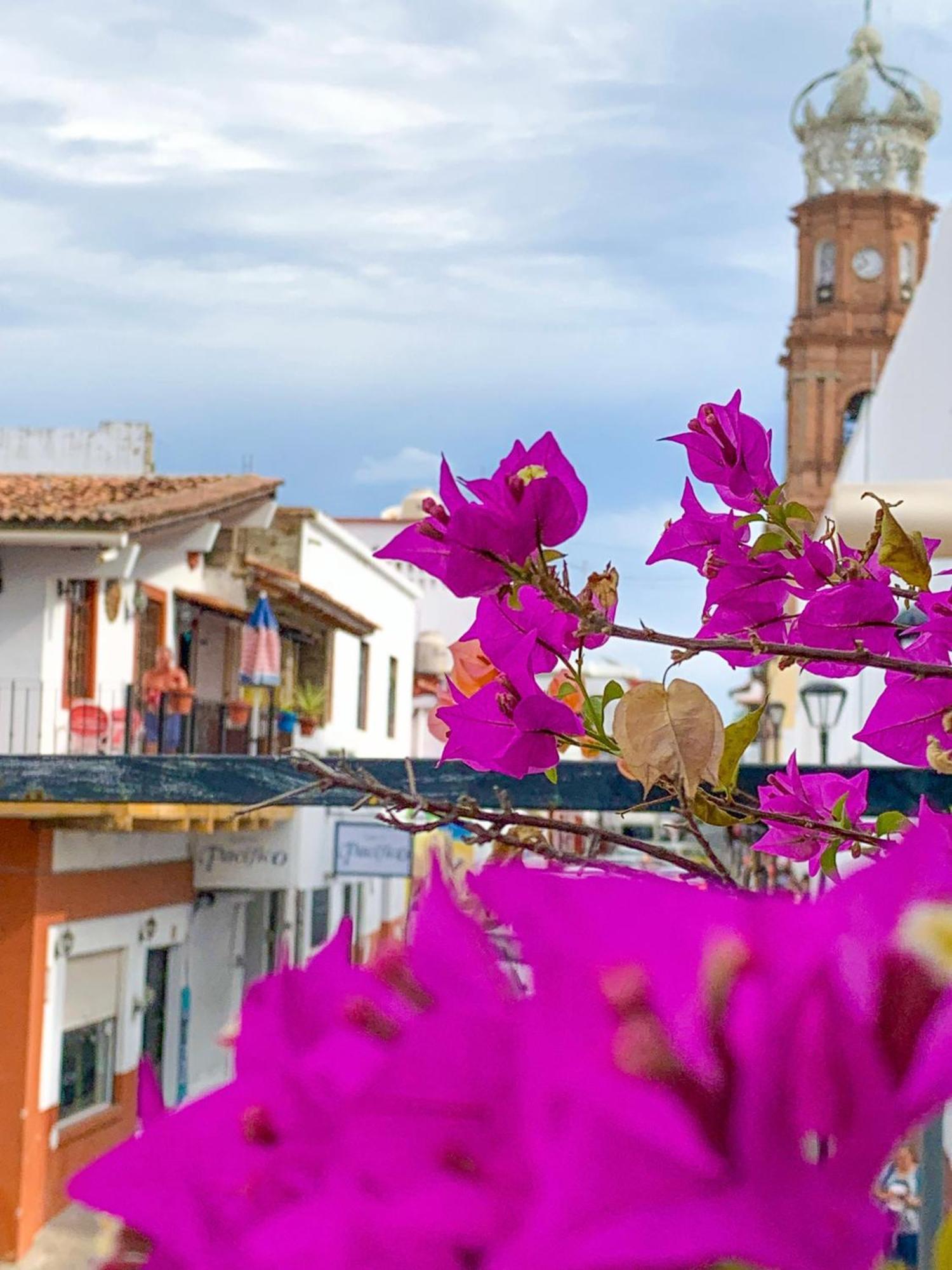 Casa Frida Gaylodging Puerto Vallarta Buitenkant foto